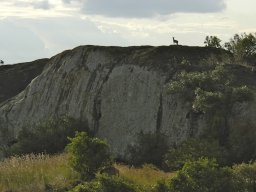 Seronera_and_Lobo2003-042